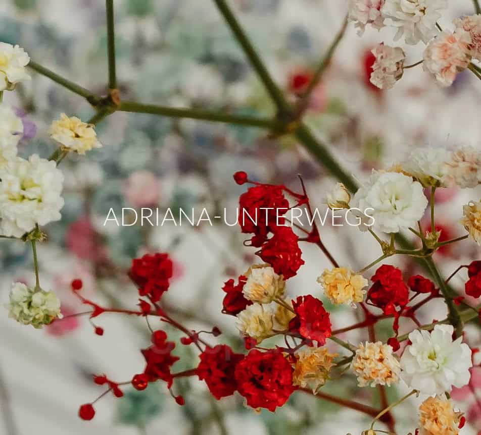 Adriana Unterwegs